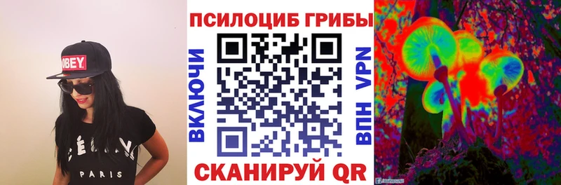 Галлюциногенные грибы Psilocybine cubensis  Поворино 